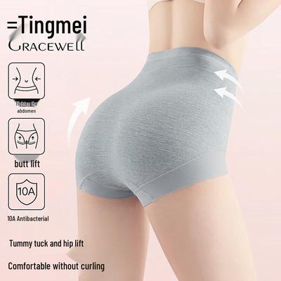 Tingmei 10A High-Waist Tummy Control Shaping Panties