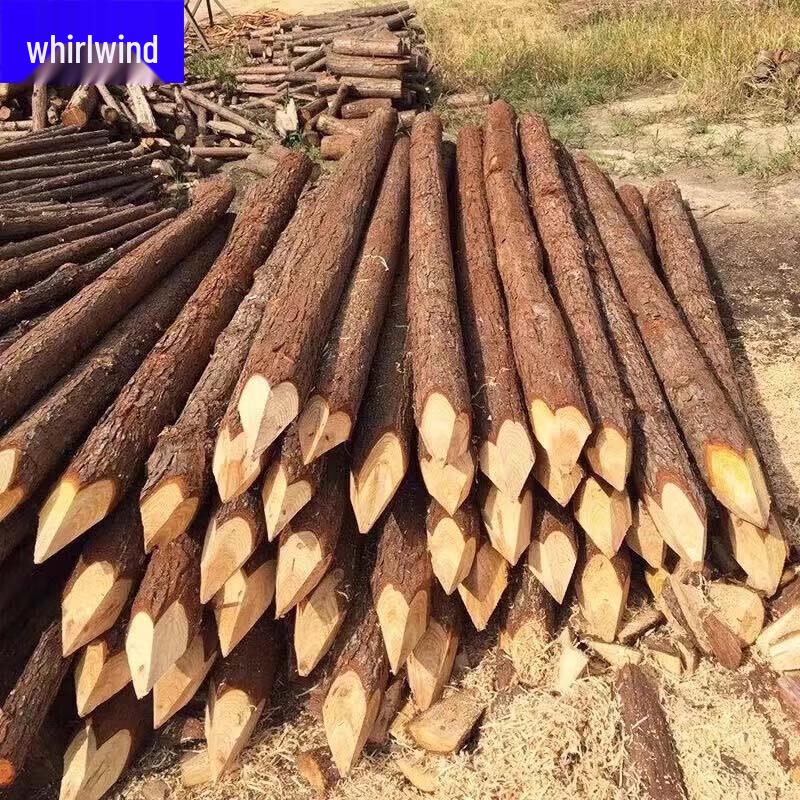 Sharpened Fir Wood Stakes