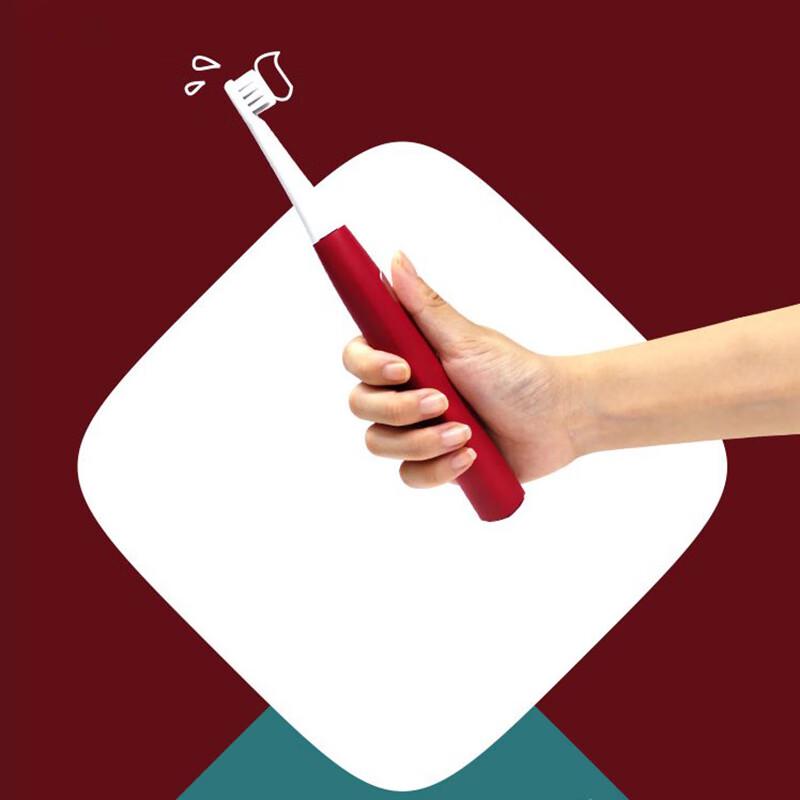 Dr. Bei Sonic Electric Toothbrush