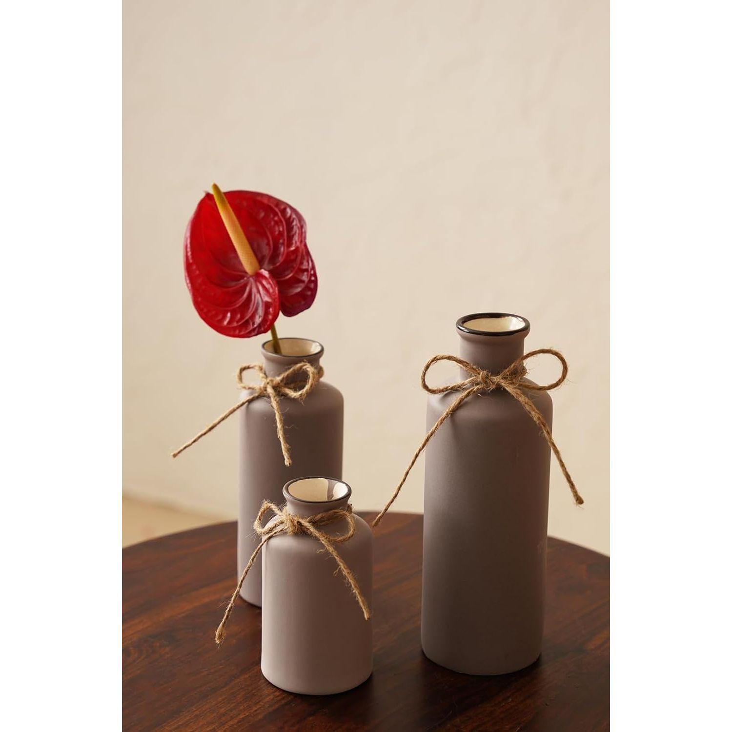 

Vintage Roman Bottle Vase 3Pcs Ceramic Vases, Rustic Beautiful Decorative Flower Vases Set for Modern Farmhouse Decoration, Living Room, Table