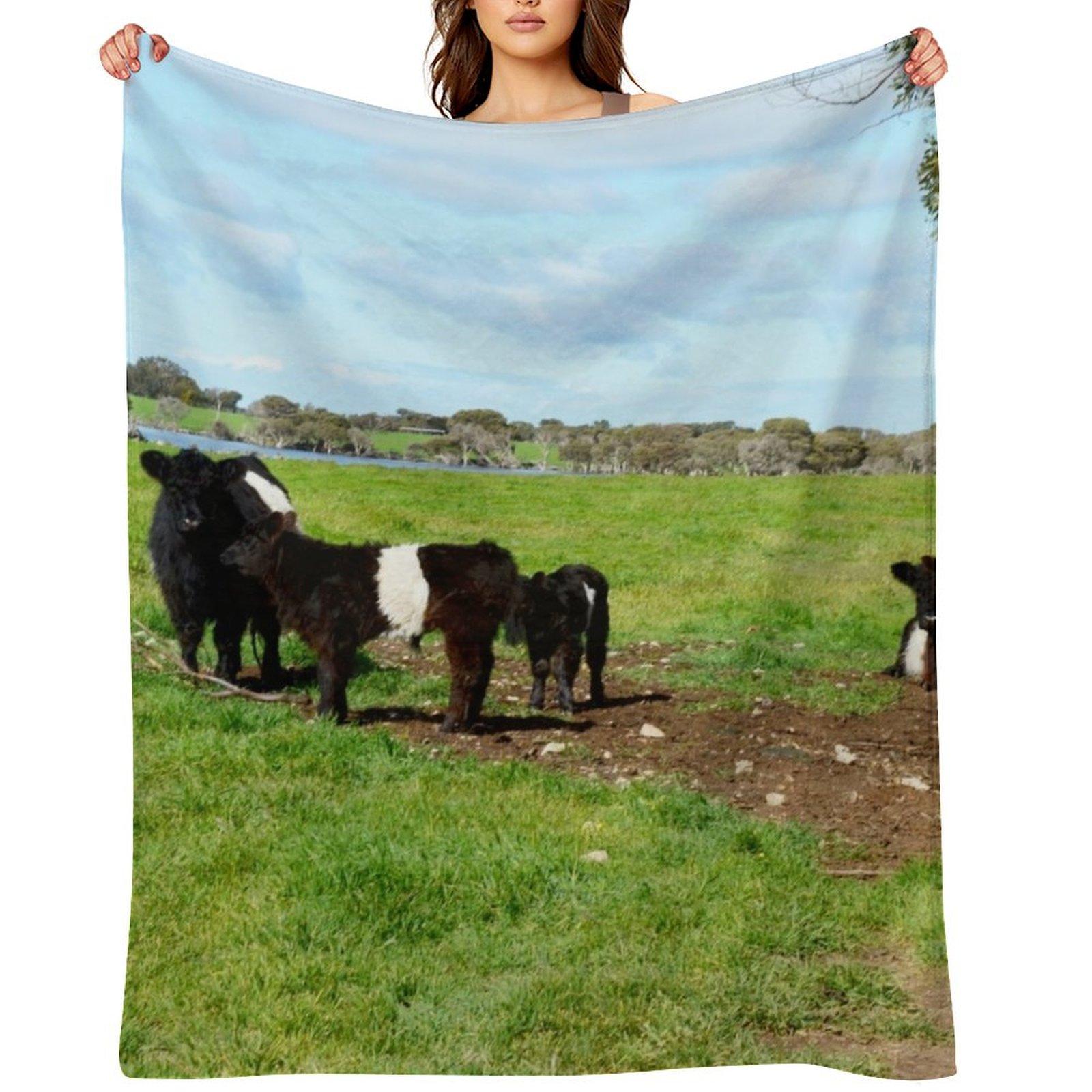 Belted Galloway Cows And Calves, Throw Blanket Hairys For Decorative Sofa Sleeping Bag Plaid Blankets 75X95CM