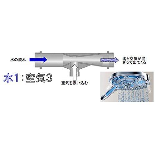 Hansgrohe PuraVida Shower Head 28558454