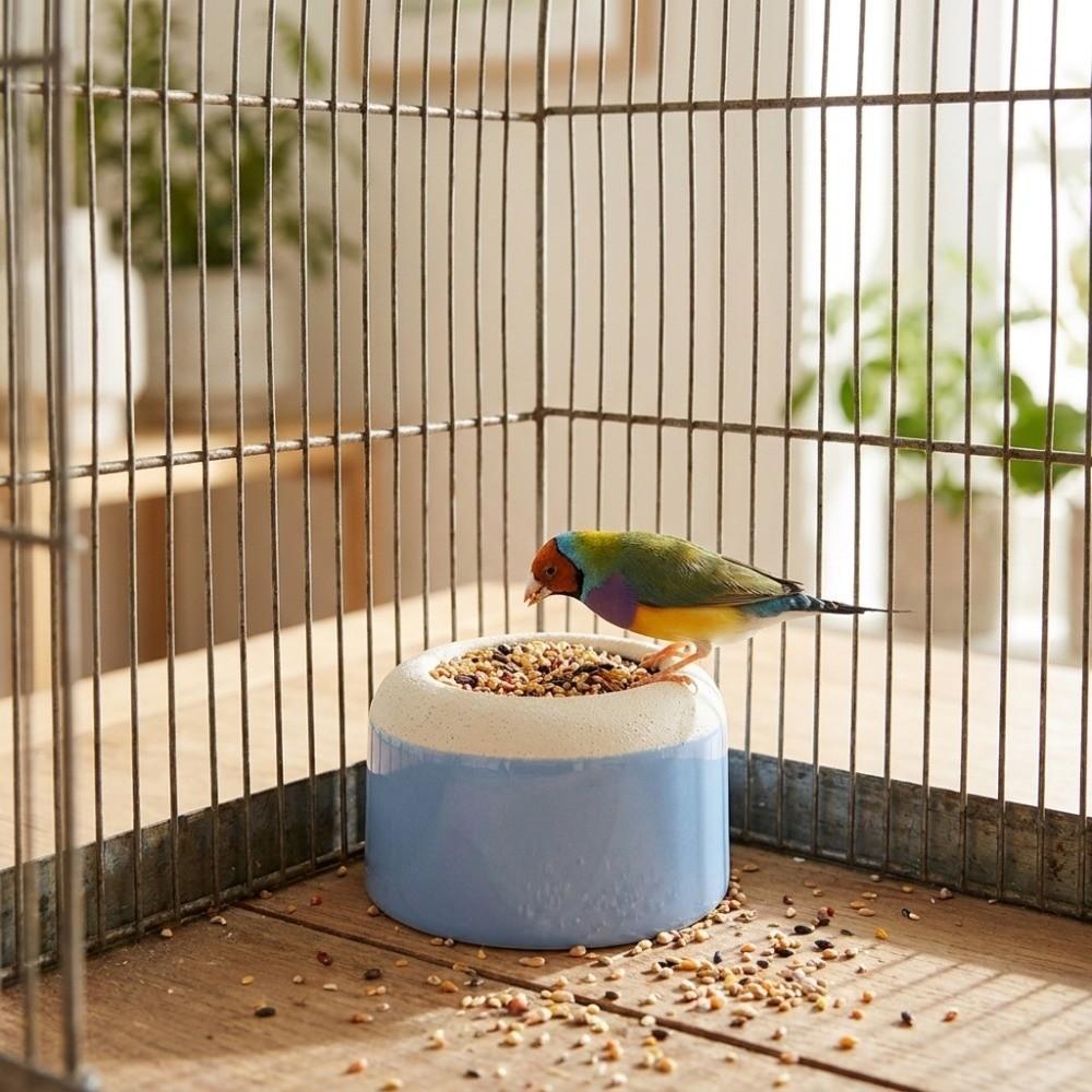 Anti-Spill Parrot Paw Grinding Bowl Wide Mouth Hamster Water Bowl Bird Water Bowl Cage Accessories