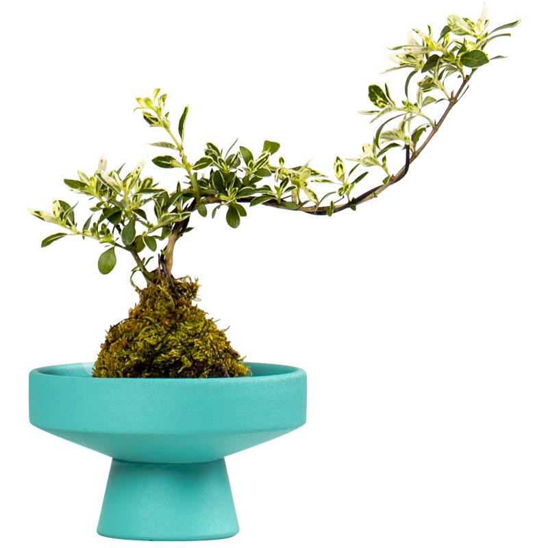 Minimalist Hydroponic Ceramic Flower Pot - Elegant Home & Office Decor