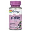 Solaray Vital Extracts Bilberry 60mg, 60 Veggie Capsules
