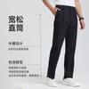 [Including Mulberry Silk] Langdeng Loose Double Pleated Pants for Men