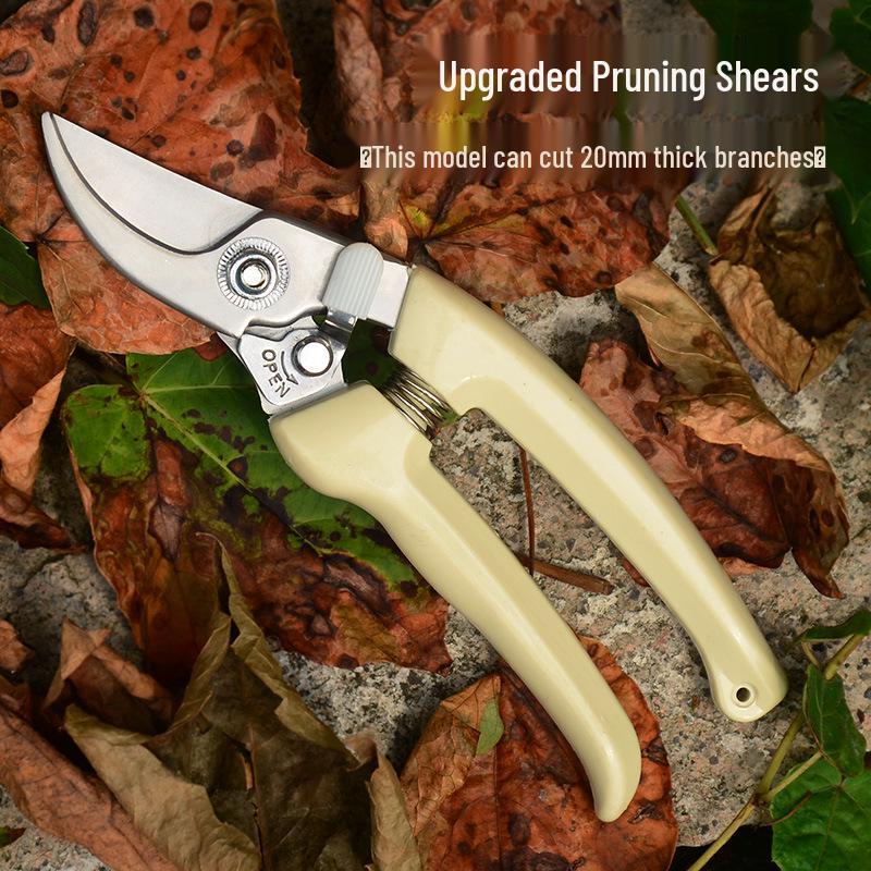Stainless Steel Pruning Shears - Garden Tools for Branches and Fruit Trees