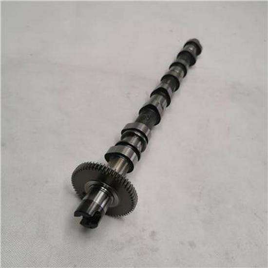 Fits Foton PV10002202 Intake Camshaft Assembly