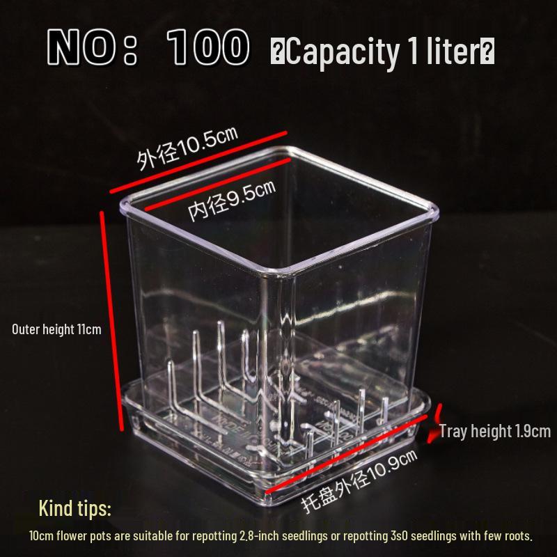 Square Transparent Plastic Flower Pot for Phalaenopsis Orchids, Breathable, Ideal for Living Room or Indoor Window Sill