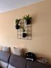 Hedera 3 Black Metal Wall Flower Stand - Modern Flower Trellis with 3 Hoops, Loft, Industrial, Vertical Garden
