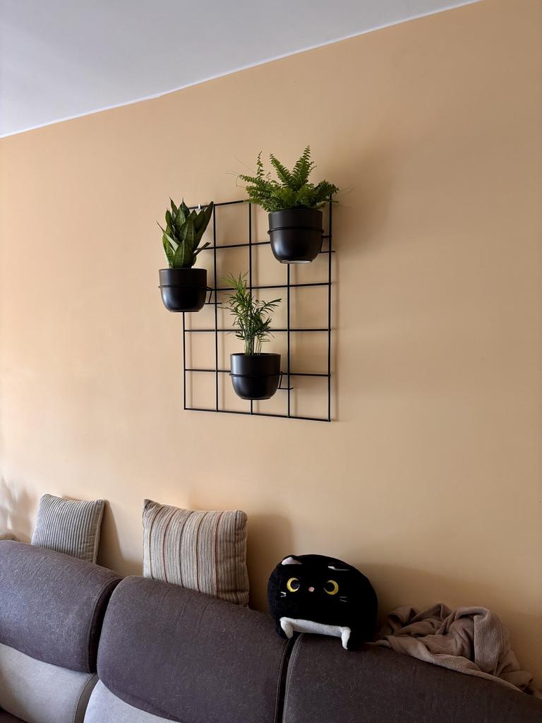Hedera 3 Black Metal Wall Flower Stand - Modern Flower Trellis with 3 Hoops, Loft, Industrial, Vertical Garden