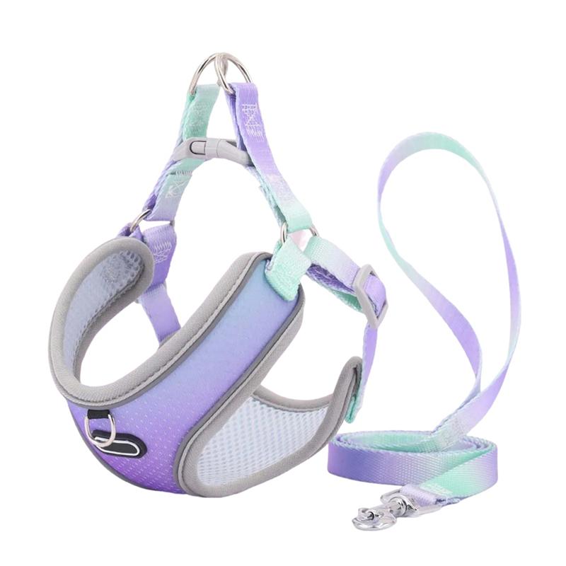 

AEE2-Escape Proof Cat Harness And Leash Set Adjustable Mesh Dog Harness Vest Puppy Pet Walking Lead Leash