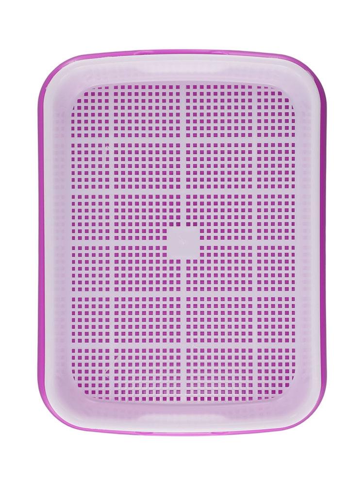 Tablett Leicht zu reinigen Keimschale Getreidekeimung