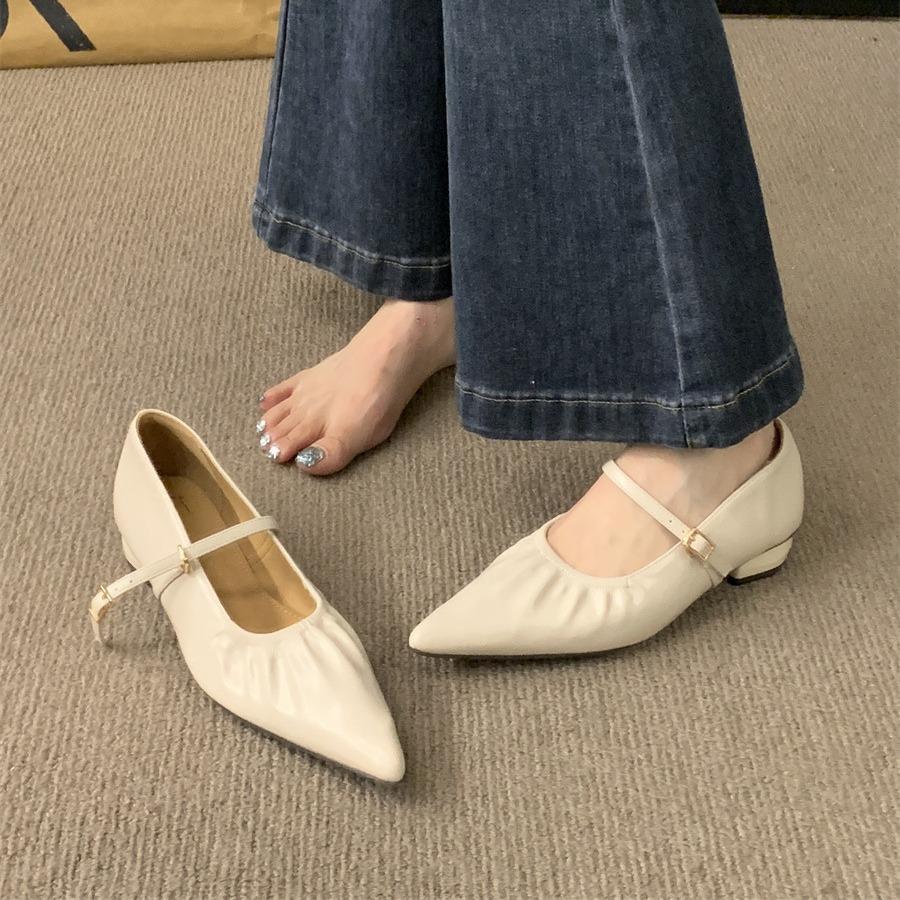 Pointed Mary Jane Shoes Women's Shoes Spring and Autumn 2025 New Thick Heel Shallow Mouth Word with French Evening Wind Single Shoes