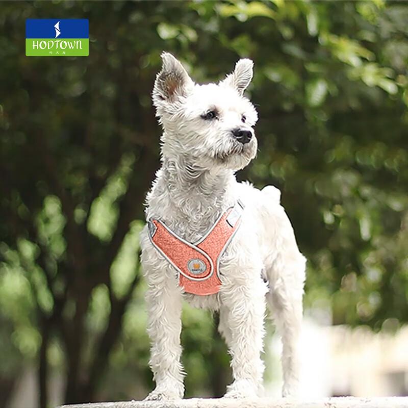 

HeDaWu Outdoor Dog Leash & Harness Set