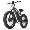 LANKELEISI MG740PLUS Ebike 2000W Doppio Motore 48V 20Ah Batteria Rimovibile 26 Pollici Ruote Grasse Bicicletta Elettrica Freni Idraulici Dirt bike