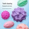 Vinyl Simulation Toy Ball for Small and Medium Dogs - Sounding Pet Ball
