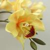 Feel Moisturizing, Single 3-head Cymbidium Flower Simulation Flower, Indoor Decoration, Bonsai Props, Fake Flower