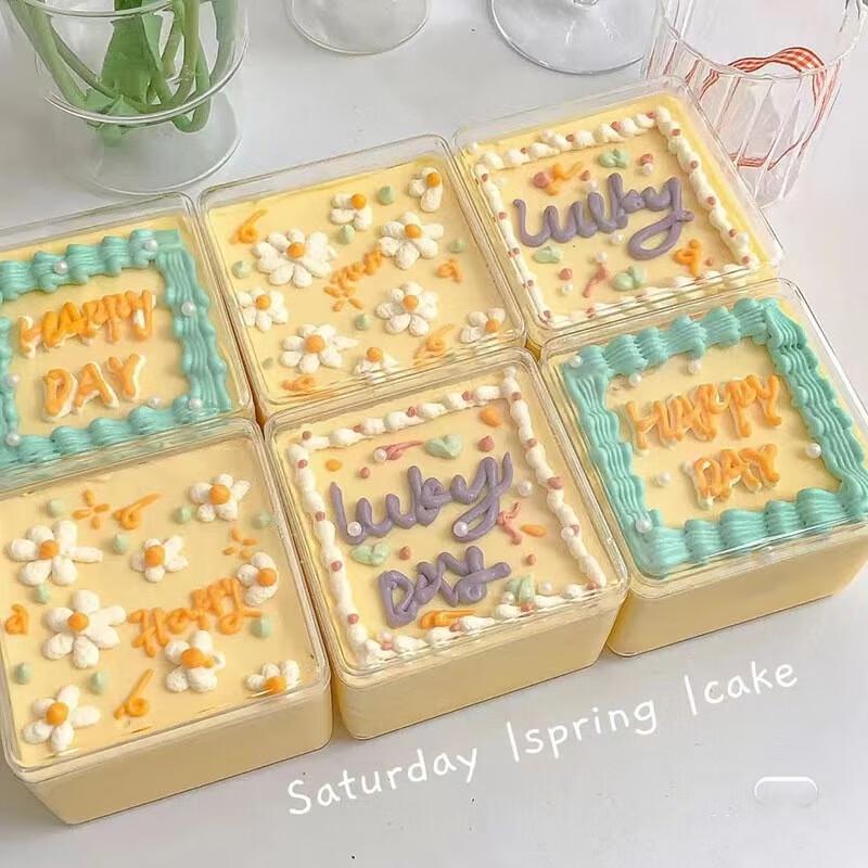 

Pabe Square Transparent Plastic Food Containers