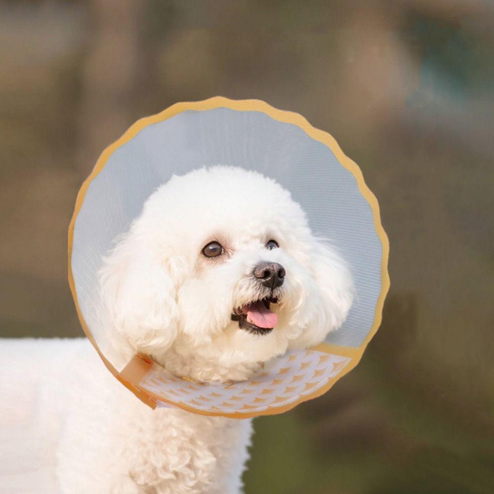 Anti-Lick Cat Elizabethan Collar Anti-Chew Dog Anti-Bite Collar Pet Recovery Collar  Pet Care