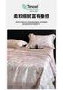 60S Lanjing Tencel & Mulberry Silk Fiber Summer Quilt Set