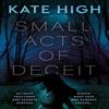Small Acts of Deceit by Kate High Paperback Book 9781835742143