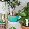 100Pcs Set Plant Markers Plastic Plant Labels Plant Name Tags for Seedlings Garden Labels Nursery Plant Tags Seed Labels