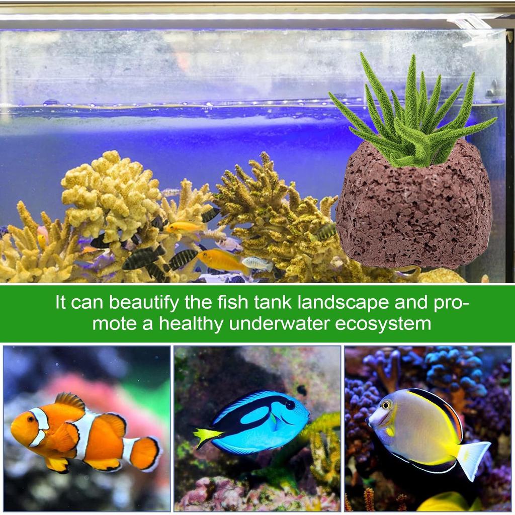 Aquarium Plant Weights 4 Pieces Volcanic Stone Anti-Floating Aquatic Water Plant Fixed Rings For Freshwater Shrimp Pond Pool