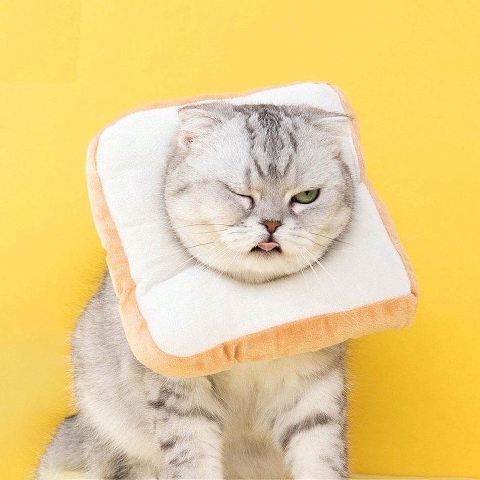 

1pc Avocado Broutons Adjustable Cat Collar Sterilized Cat Soft Collar Anti Lick Bite Cat Queen Elizabeth Collar