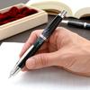 Pilot Namiki CAPLESS RADEN Fountain Pen STRIPE Fine Nib FCN-5MP-RS-F with Converter