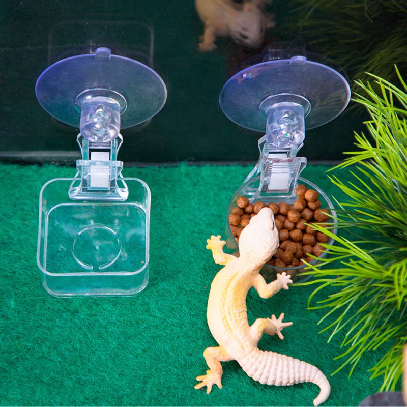 Reptile Water Food Bowl Suction Cup Food Tray Gecko Reptile Lizards Spider Tree Frogs Feeder Habitat Decoration Pet Supplies