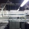 Electronice și climatizare – Piese de schimb pentru sistemele de ventilare și climatizare