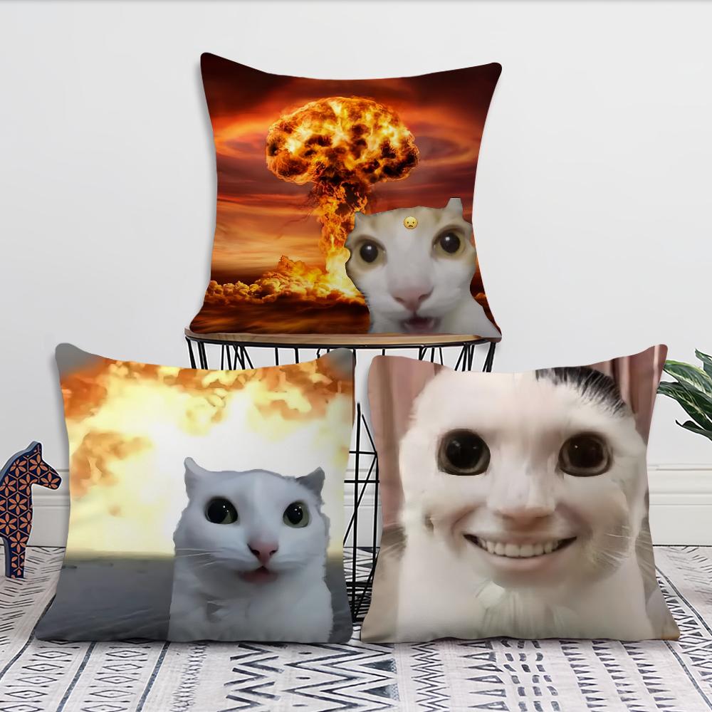 cushion cover Comfortable soft cat funny Pillow Case for Sofa meme Living Room Home office Decor and Protective Covers