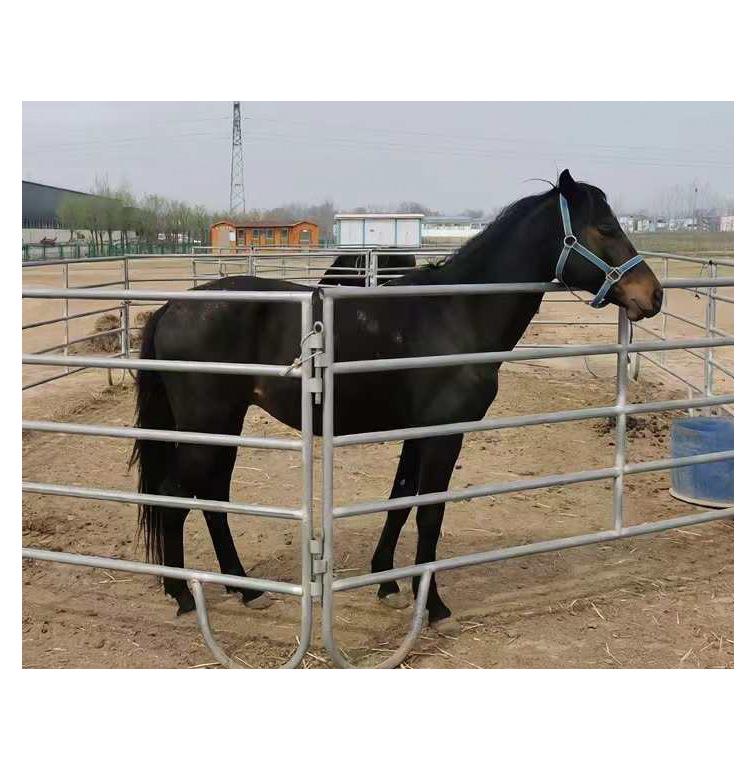 Easy-Assembly Movable Livestock Fence for Cattle and Horses - Ideal for Grassland Family Farms