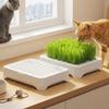 Anti-Pull Out Cat Grass Planter Self-planted Tray Wheat Seedling Pot Growth Planter  Indoor Growing