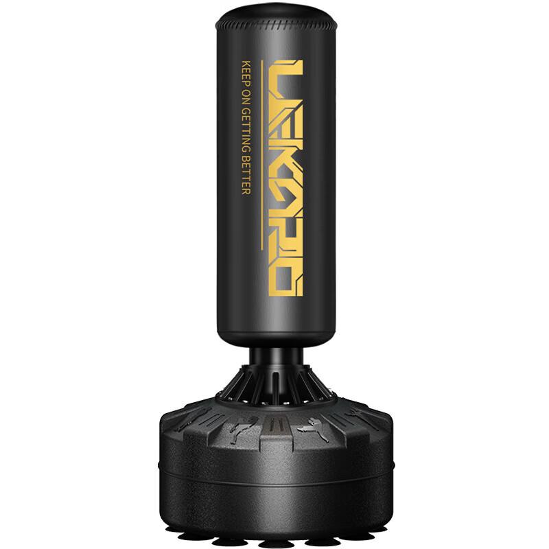 AIBEIJIAN Freestanding Home Boxing Punching Bag