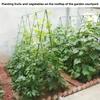 20/10pcs Green Plastic Garden Stakes - Durable Plant Support - Essential Lawn Tool for Healthy Growth, Plant Support Stakes|Stylish Garden Accessory