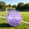 1pc Seashell Theme Soccer Ball Football, Size 5, Lightweight PVC, Outdoor Training Soccer Ball,Gift C6542