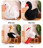 Vogel Plüschtier Sammlung: Papagei, Pfau, Geier, Adler, Pelikan, Flamingo, Schwan