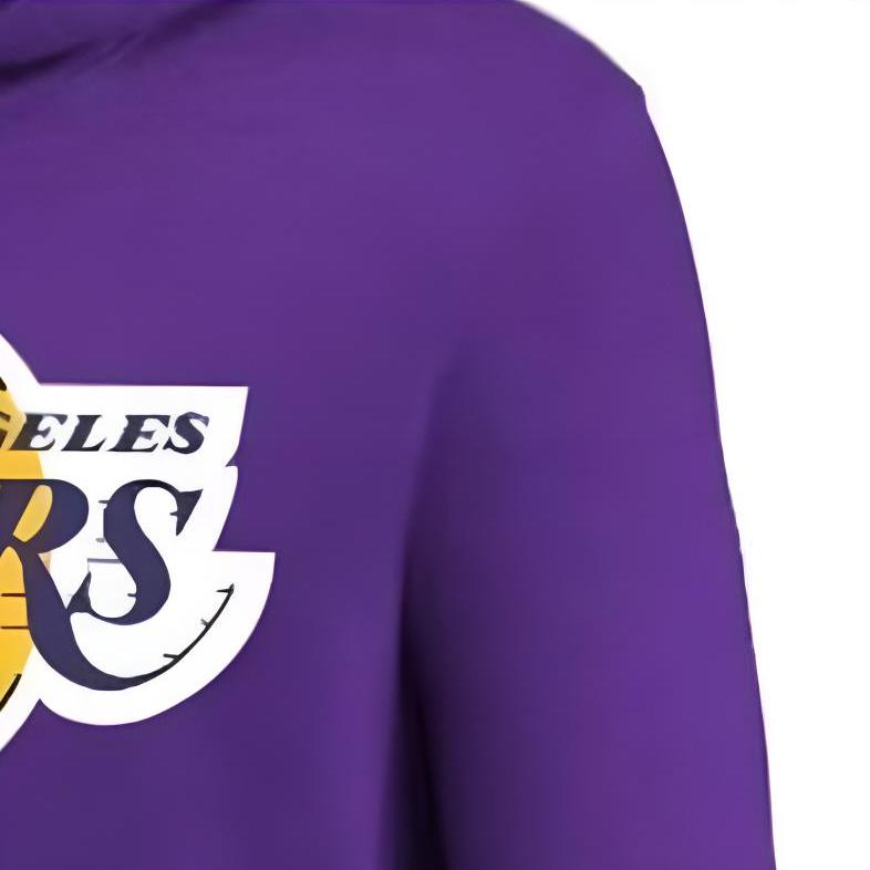 Nike X NBA Collaboration Hoodie Los Angeles Lakers Fleece Simple Comfortable Hooded Kids hoodies Purple 3Z2B7FFPQ-LAK
