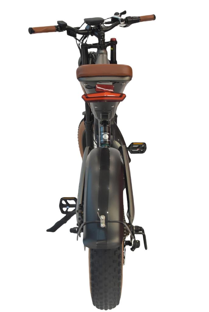 DYU M20 Adult E- Bike 1000W Motor 48V18.2AH Battery 20Inch Anti-Puncture Fat Tires All-Terrain Off-Road E-Bicycle Beach Mountain Snow City Commuting