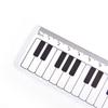 Supplies Scale Ruler Plastic Measuring Ruler Straight Rulers Piano Rule Black White Musical Notes