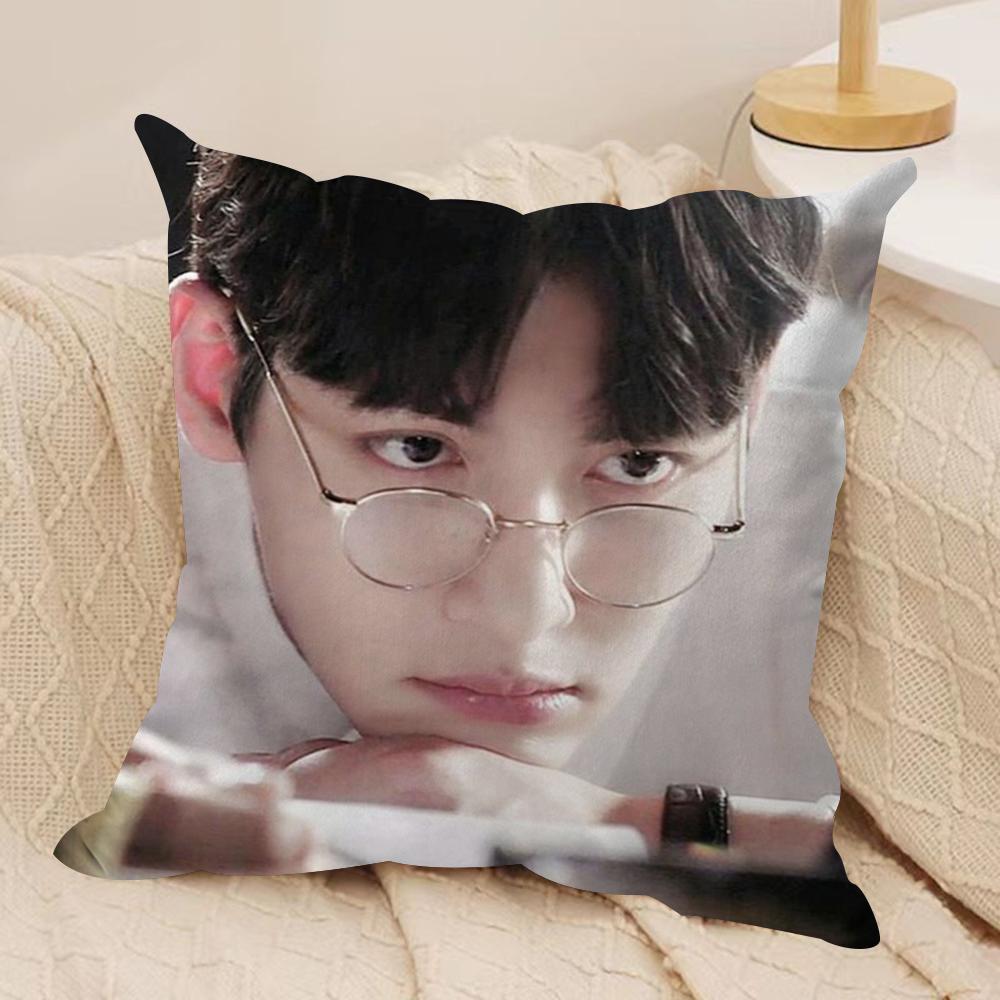 JJi CChang Wook Cushion Cover Silky Short Plush DoubleSided Printed Pillow Case for Sofa All Seasons Home Decor Gift
