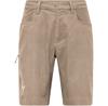 Salewa Wagner Hanfshorts Ripstop Quicksand 7180 White/beige/green/brown Trousers