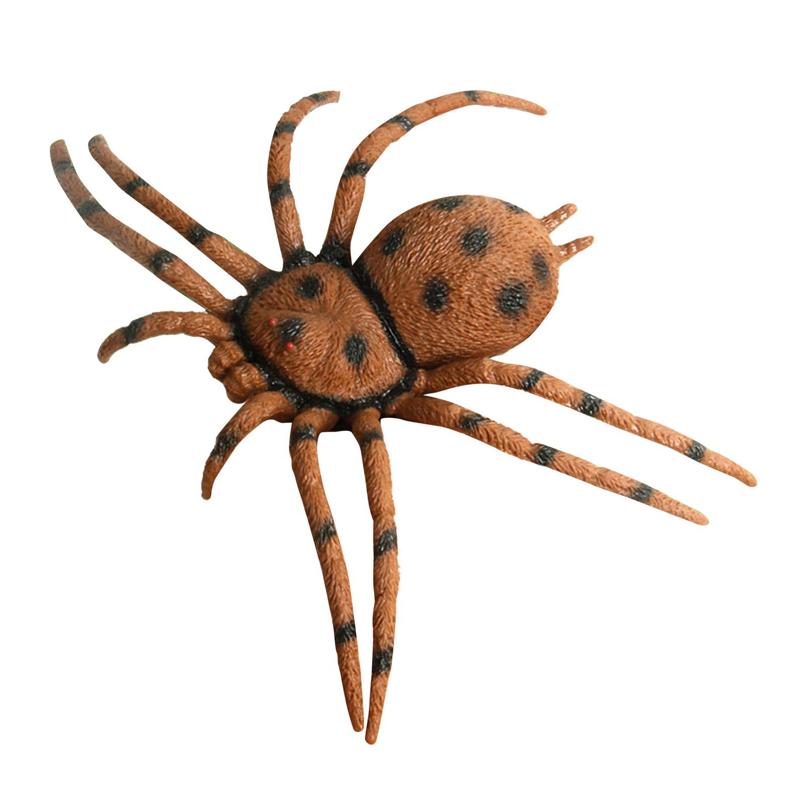 

Модель паука Реалистичный Изысканный Имитированный Большая Игрушка-паук для Обучения Развлечения Коричневый коричневый