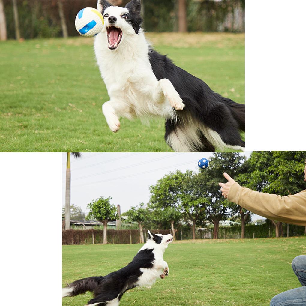 Non-Toxic Latex Dog Toy Interactive And Durable Rubber Ball For Engaging Play Safe Non-Toxic Latex