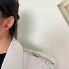 Red Natural Stone Niche Simple Versatile Stud Earrings Cool Wind Earrings Design Sense French Retro Earrings Women
