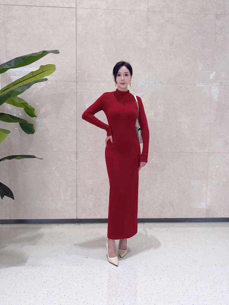 Elegant High-End Autumn Winter Dress: Warm, Semi-High Collar, Slimming Socialite Style