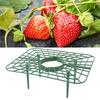 Strawberry Growing Rack, Sturdy Support Feet,   Circulation Design,  PP Material, Multi Purpose Stand for Soil and Indoor Pots