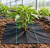PP Weed Barrier Fabric 1x1m with Center Hole